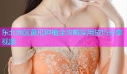 东北地区黄瓜种植全攻略实用技巧分享视频