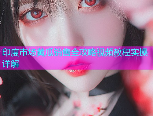 印度市场黄瓜销售全攻略视频教程实操详解